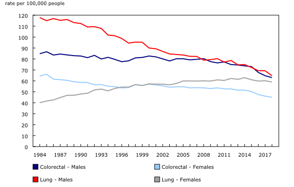 Chart 1: Age-standardized lung and colorectal cancer incidence rates, Canada excluding Quebec, 1984 to 2018