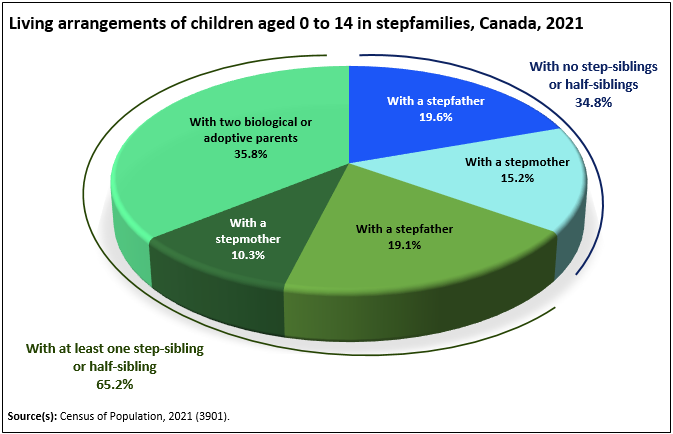 Thumbnail for Infographic 8: About two-thirds of children in stepfamilies have at least one half-sibling or step-sibling