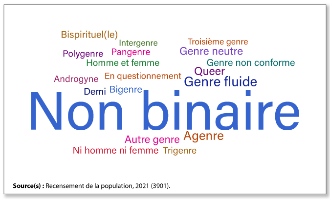Vignette de l'infographie 2: Près d'un tiers des personnes non binaires décrivent leur genre à l'aide de termes autres que « non binaire »