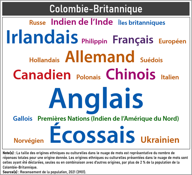 Vignette de l'infographie 6: Les origines ethniques ou culturelles les plus fréquemment déclarées en Colombie-Britannique