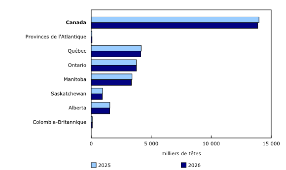 Graphique 2: Total des stocks de porcs au 1<sup>er</sup> janvier 2025 et au 1<sup>er</sup> janvier 2026