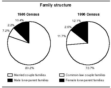 social work family assessment genogram