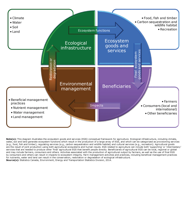 Human Activity and the Environment: Figure 1.1 — Ecosystem Goods and ...