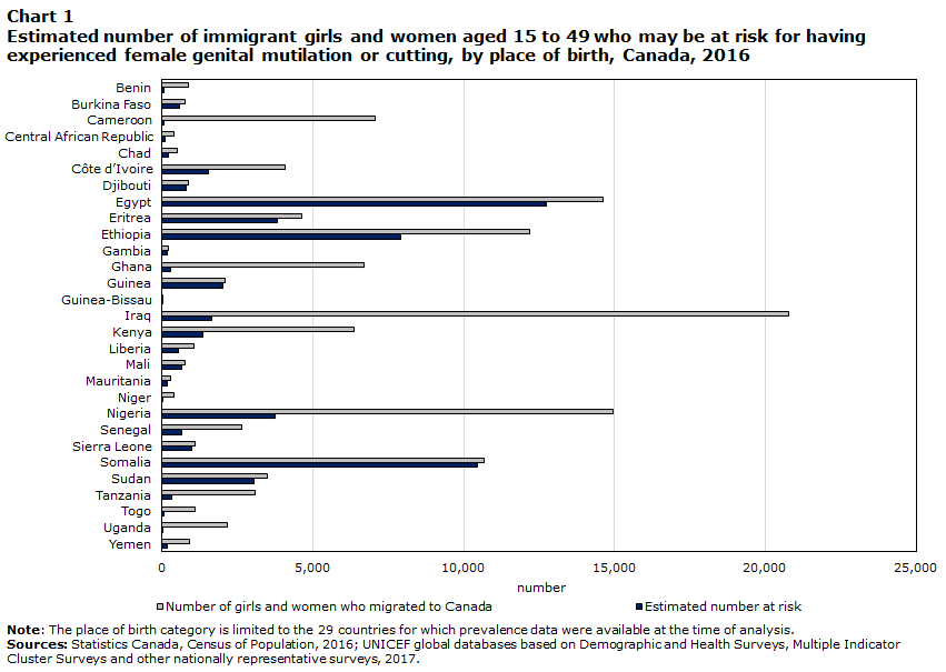 Chart 1 Estimated number of immigrant girls and women aged 15 to 49 who may be at risk for having experienced female genital mutilation or cutting, by place of birth, Canada, 2016