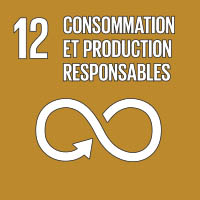 Logo : Objectif 12, consommation et production responsables