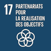 Logo : Objectif 17, partenariats pour la réalisation des objectifs