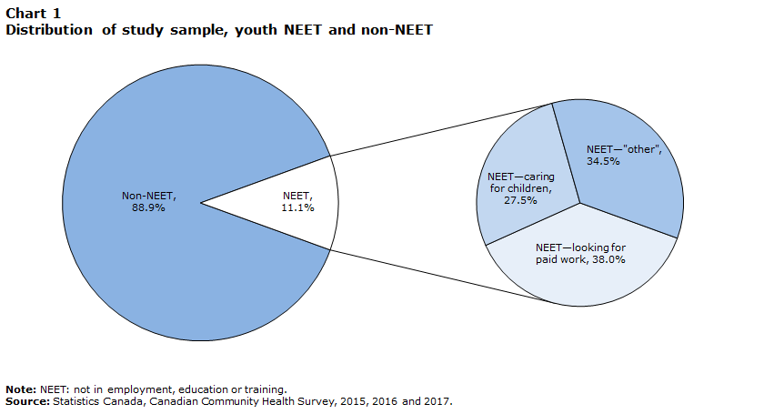 Chart 1 Distribution of study sample, youth NEET and non-NEET