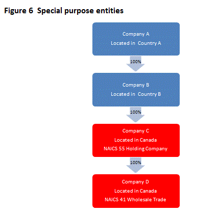 Figure 6  Special Purpose Entities