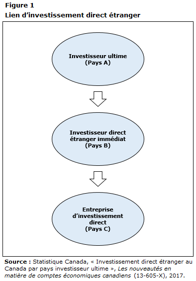 Figure 1 Lien d’investissement direct étranger