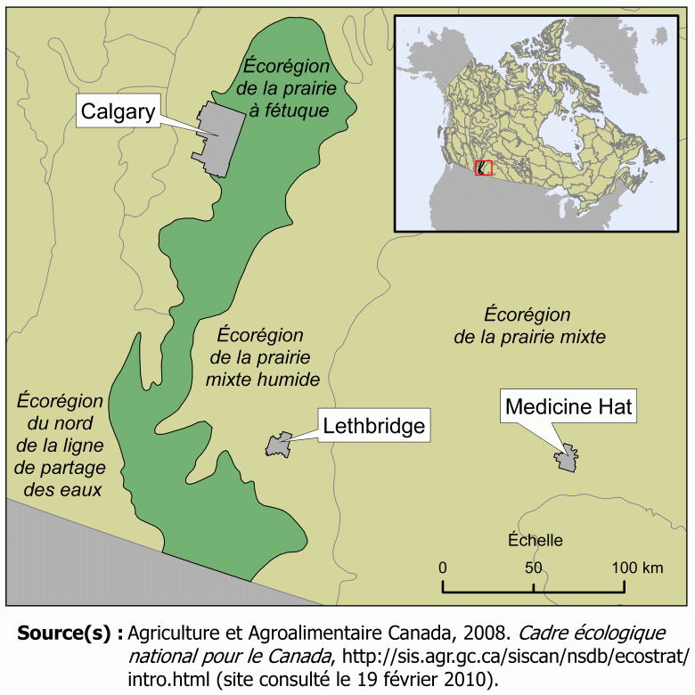 Écorégion de la prairie à fétuque