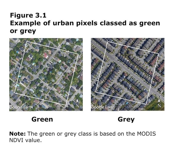 Figure 3.1 Example of urban pixels classed as green or grey