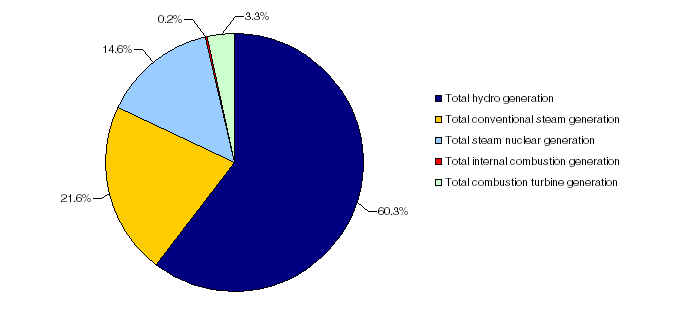 Chart 13 Electric power generation, by source,&nbsp;2005