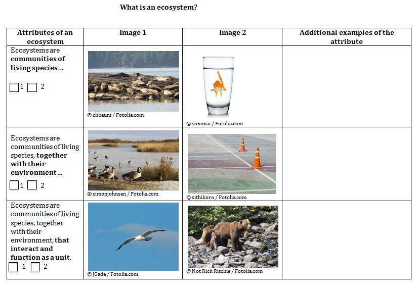 Activity sheet #2: What is an ecosystem?