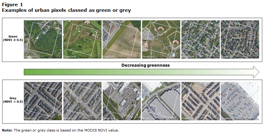 Figure 1 Examples of urban pixels classed as green or grey