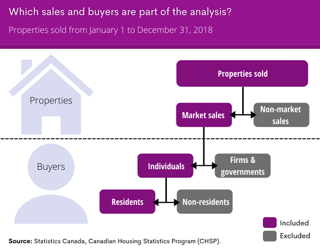 Infographic 1. Which sales and buyers are part of the analysis?
