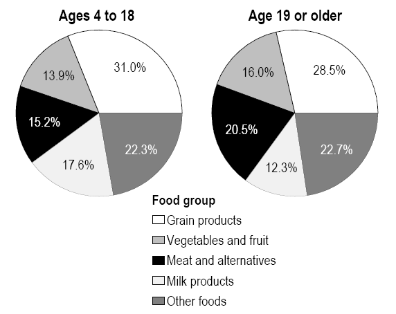 Chart 2 Percentage distribution of sources of calories, by food group and age group, household population aged 4 or older, Canada excluding territories, 2004