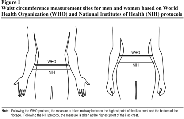 Figure 1 Waist Circumference Measurement Sites For Men And Women Based On World Health