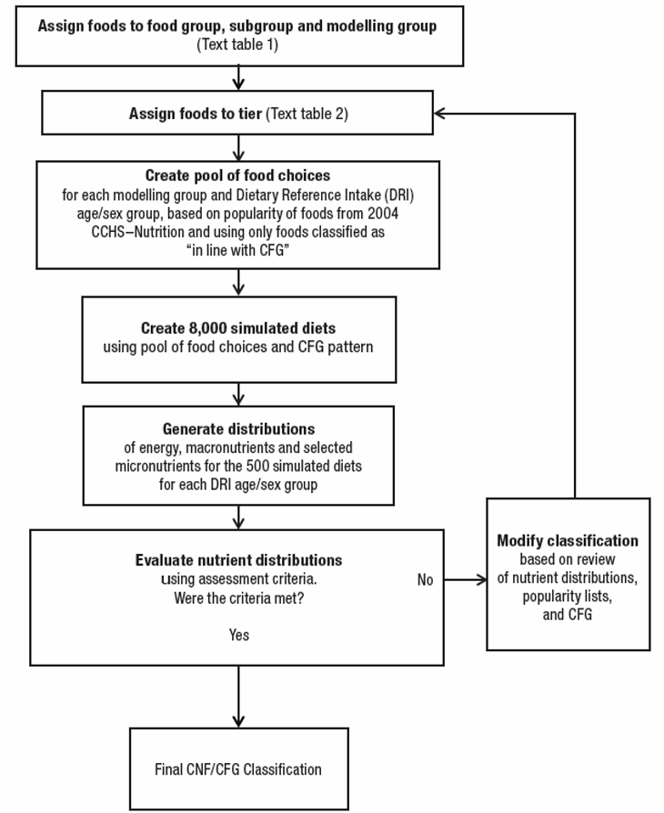Figure 1 Validation of CNF/CFG Classification (adapted from Katamay et al.)