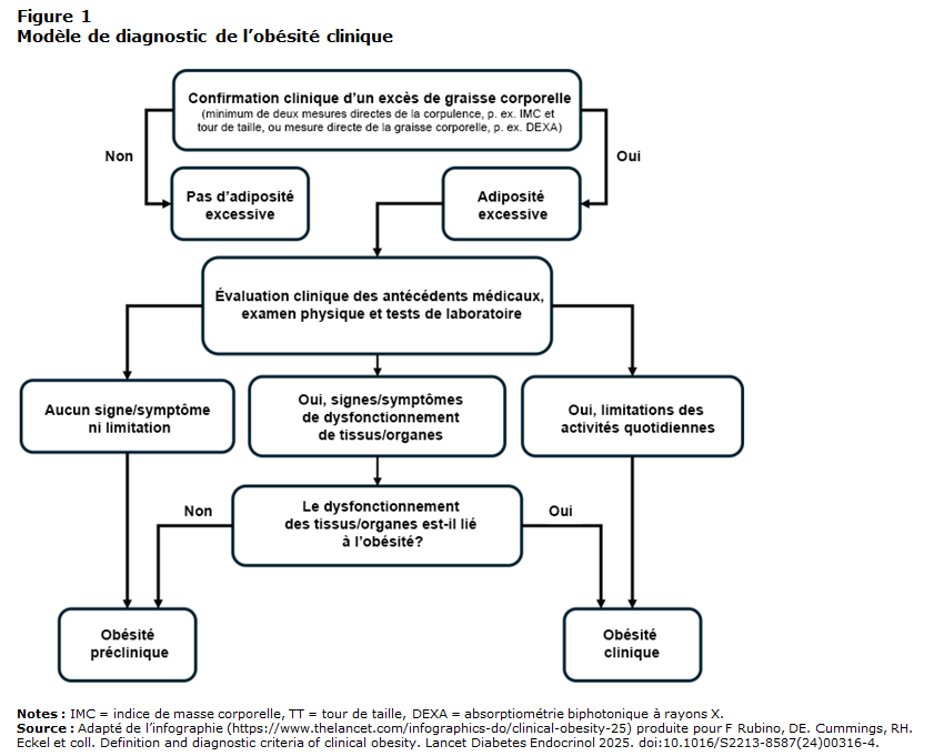 Figure 1 Modèle de diagnostic de l’obésité clinique