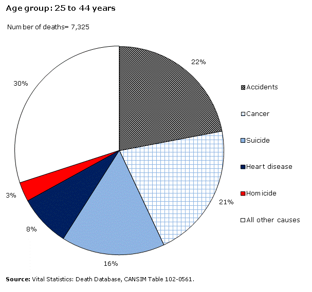 suicide pie chart for usa