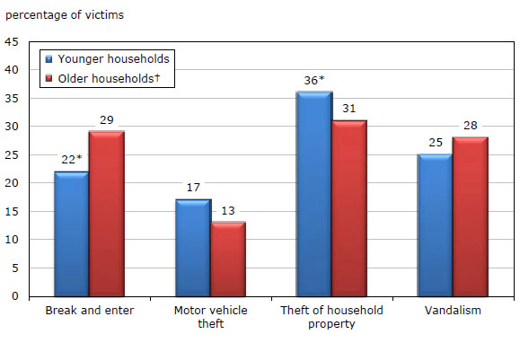Chart 3 Type of self-reported household victimization of younger and older households, 2009