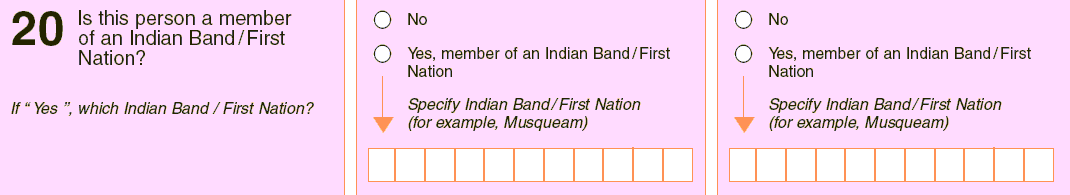 2006 Census Question 20