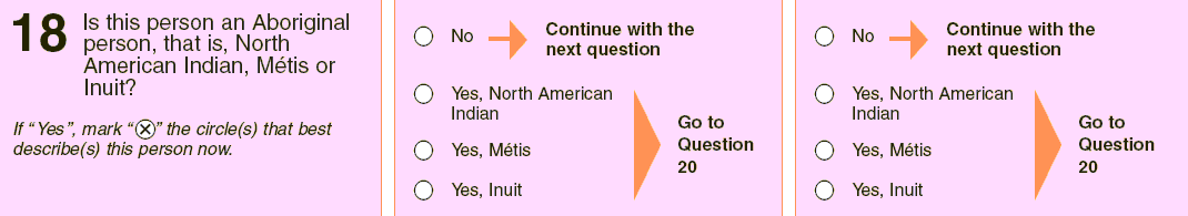 2006 Census Question 18