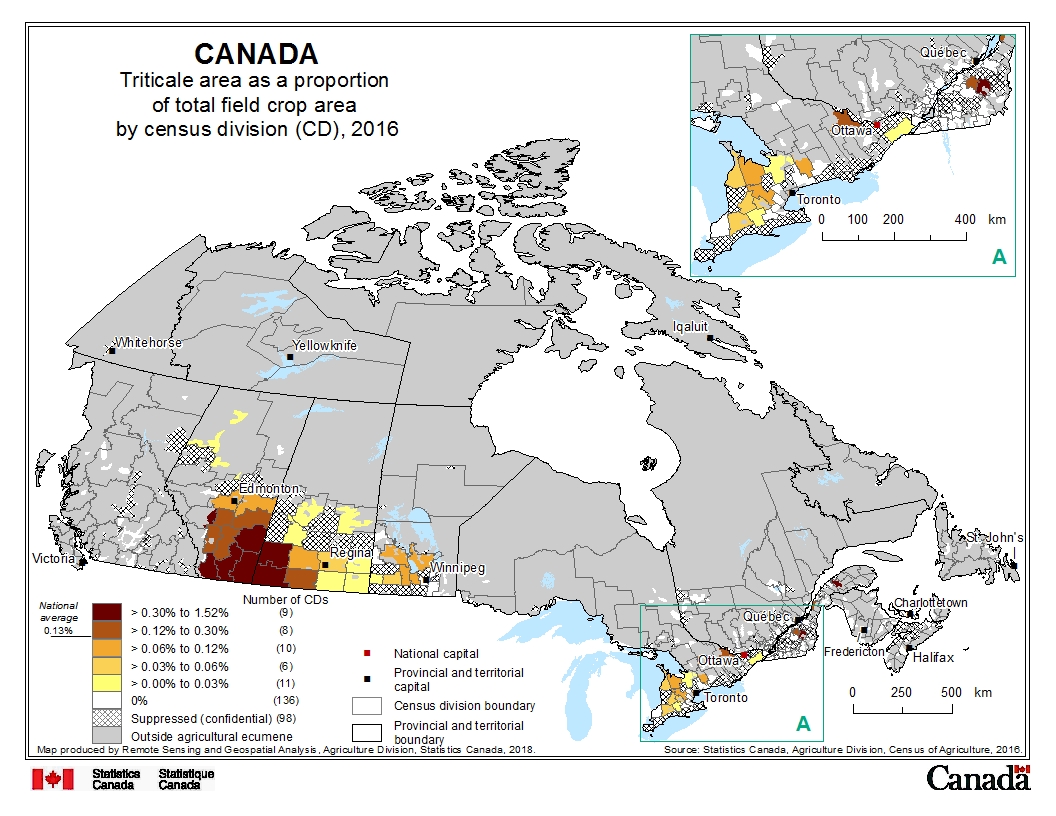 Triticale area as a proportion of total field crop area by census division (CD), 2016