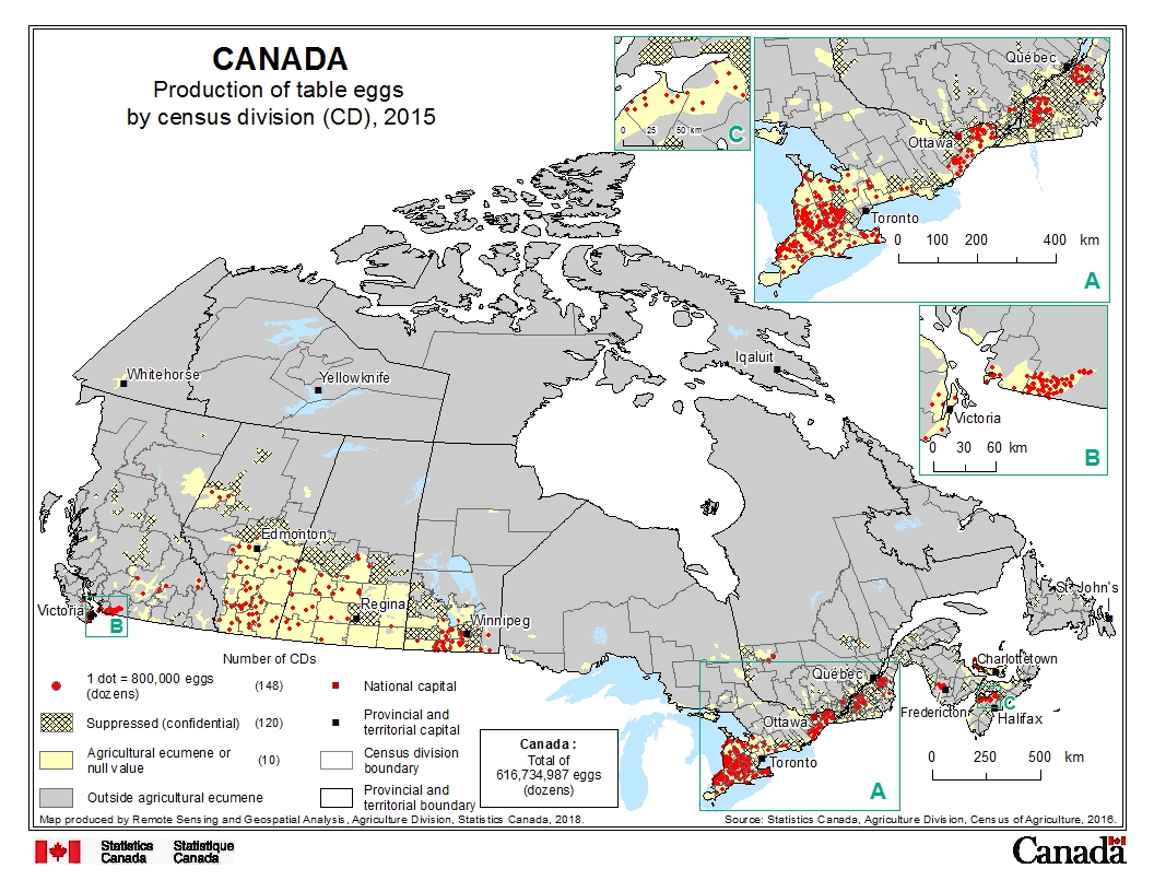 Production of table eggs by census division (CD), 2015