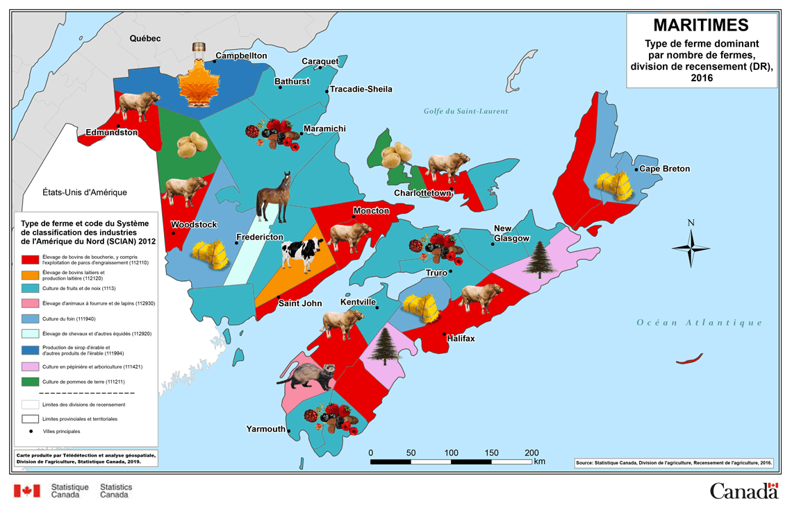 Maritimes – Type de ferme dominant par nombre de fermes, division de recensement (DR), 2016