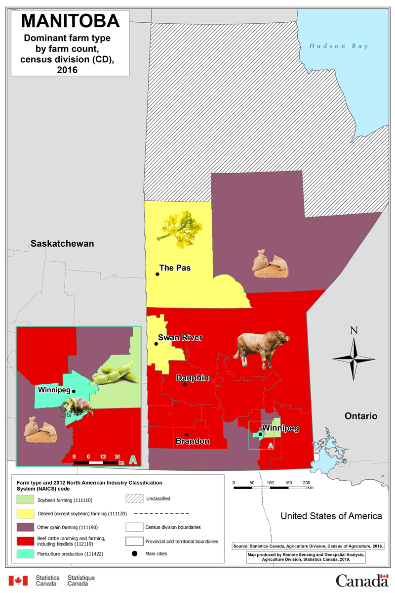 Manitoba – Dominant farm type by farm count, census division (CD), 2016