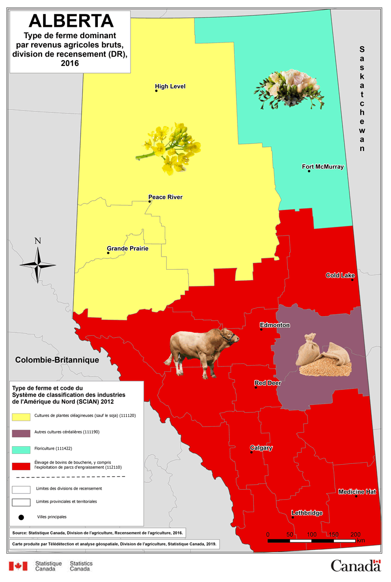 Alberta – Type de ferme dominant par revenus agricoles bruts, division de recensement (DR), 2016