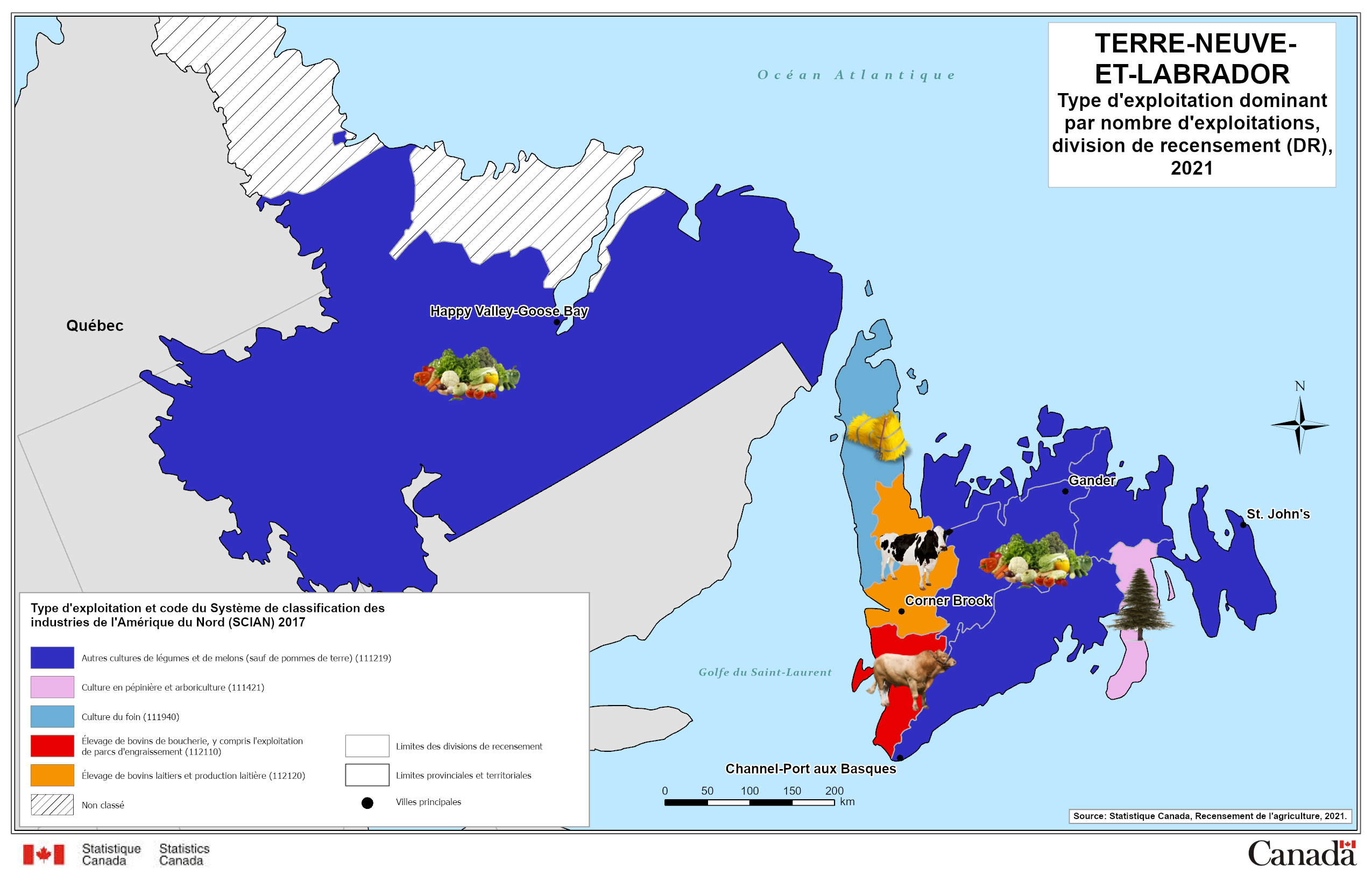 Terre-Neuve-et-Labrador - Type d'exploitation dominant par nombre d'exploitations, division de recensement (DR), 2021