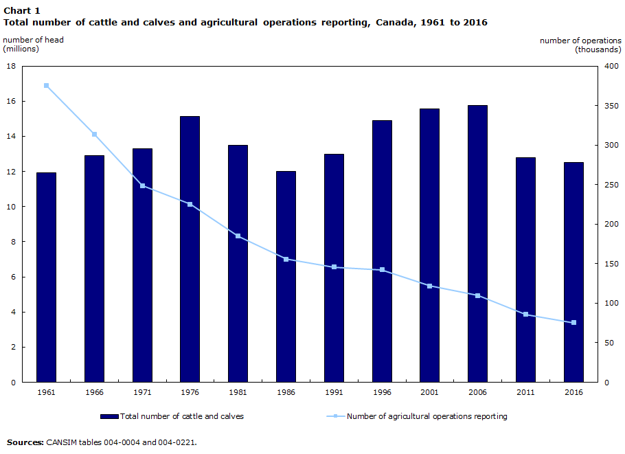 Chart 1 Total number of cattle and calves and agricultural operations reporting, Canada, 1961 to 2016