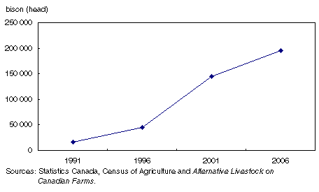 Figure 1 Bison in Canada, census years 1991 to 2006.