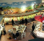 A modern grocery store.
