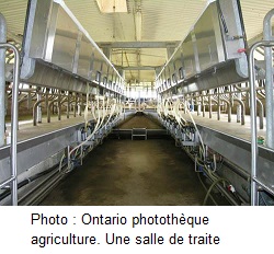 Photo : Ontario photothèque agriculture. Une salle de traite