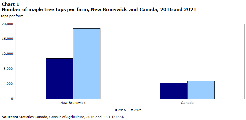 Chart 1 Number of taps on maple trees per farms, New Brunswick and Canada, 2016 and 2021