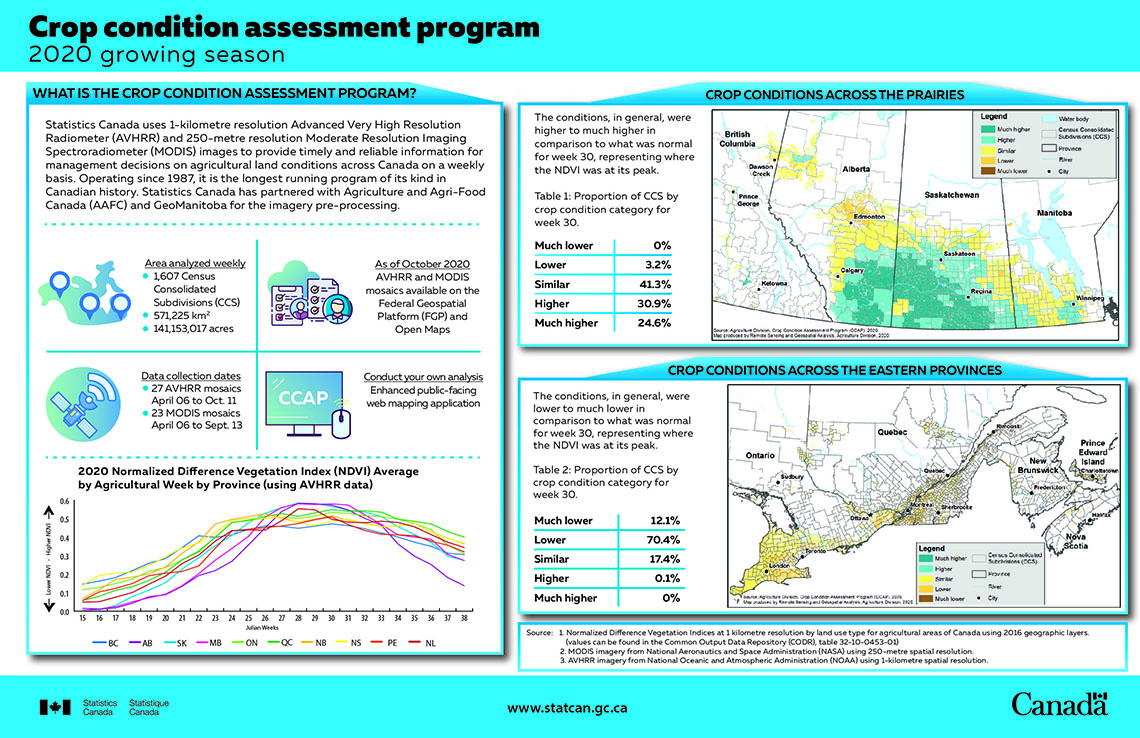 Infographic: Crop Condition Assessment Program during the 2020 growing season