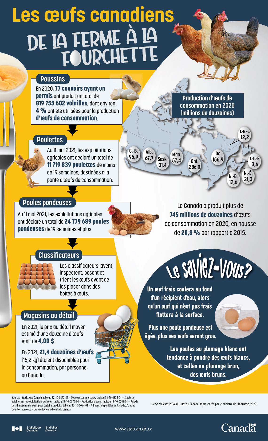 Infographie : Les œufs canadiens, de la ferme à la fourchette