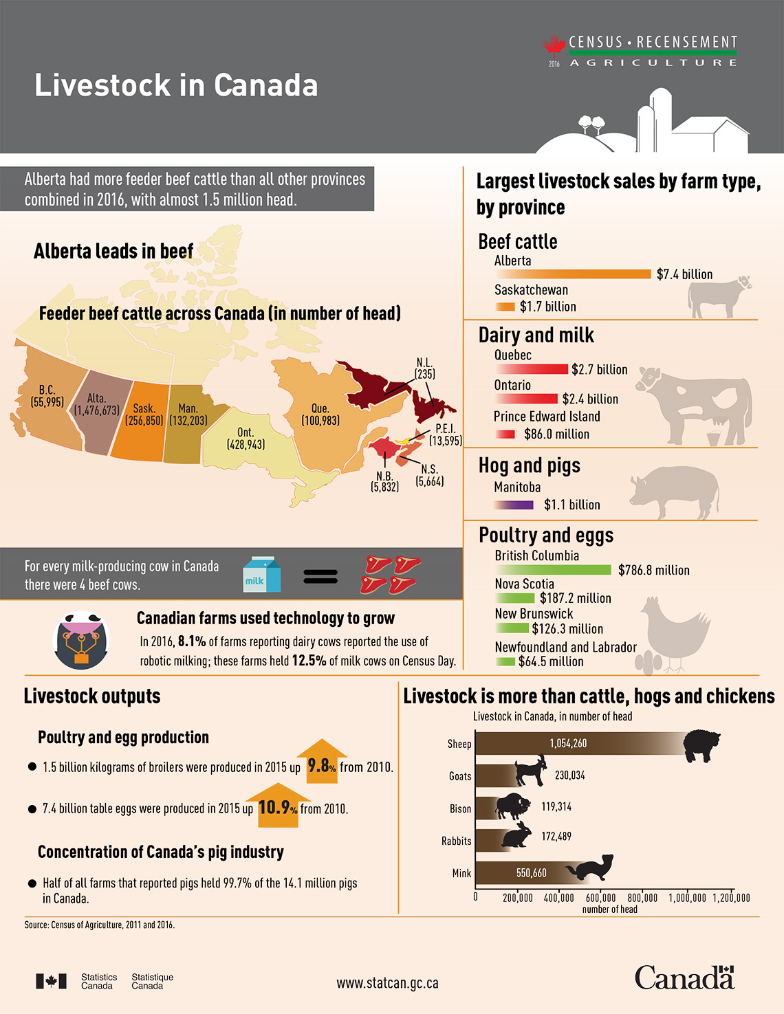 Infographic: Livestock in Canada