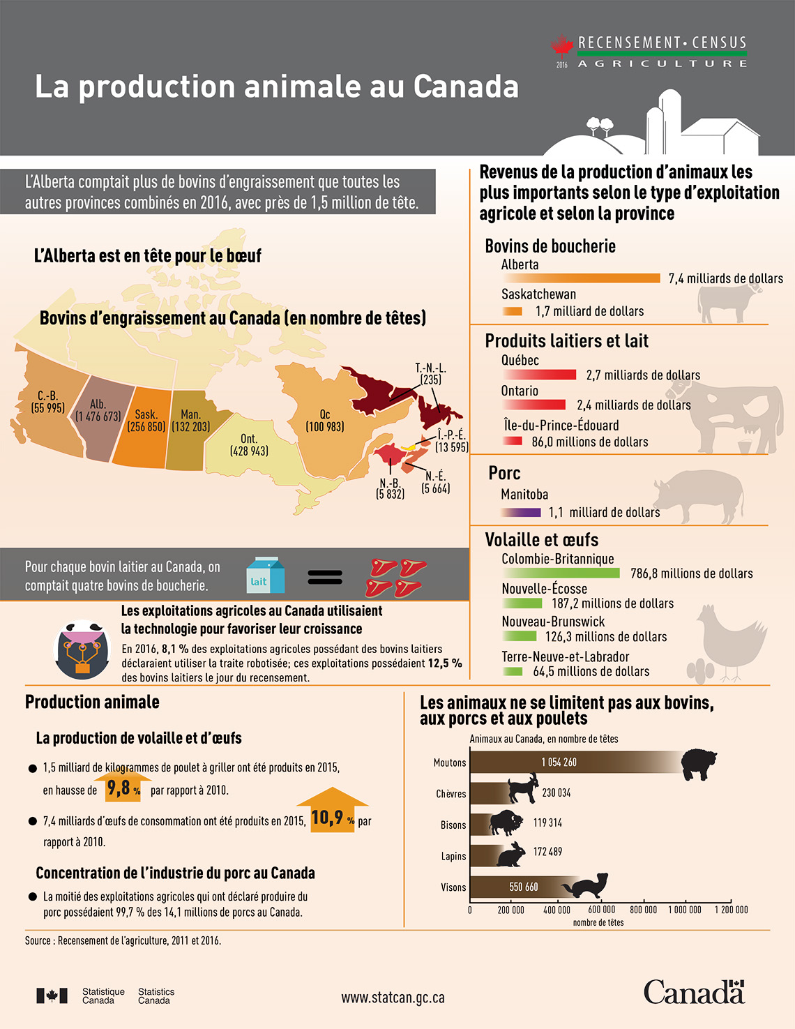 Infographie : La production animale au Canada