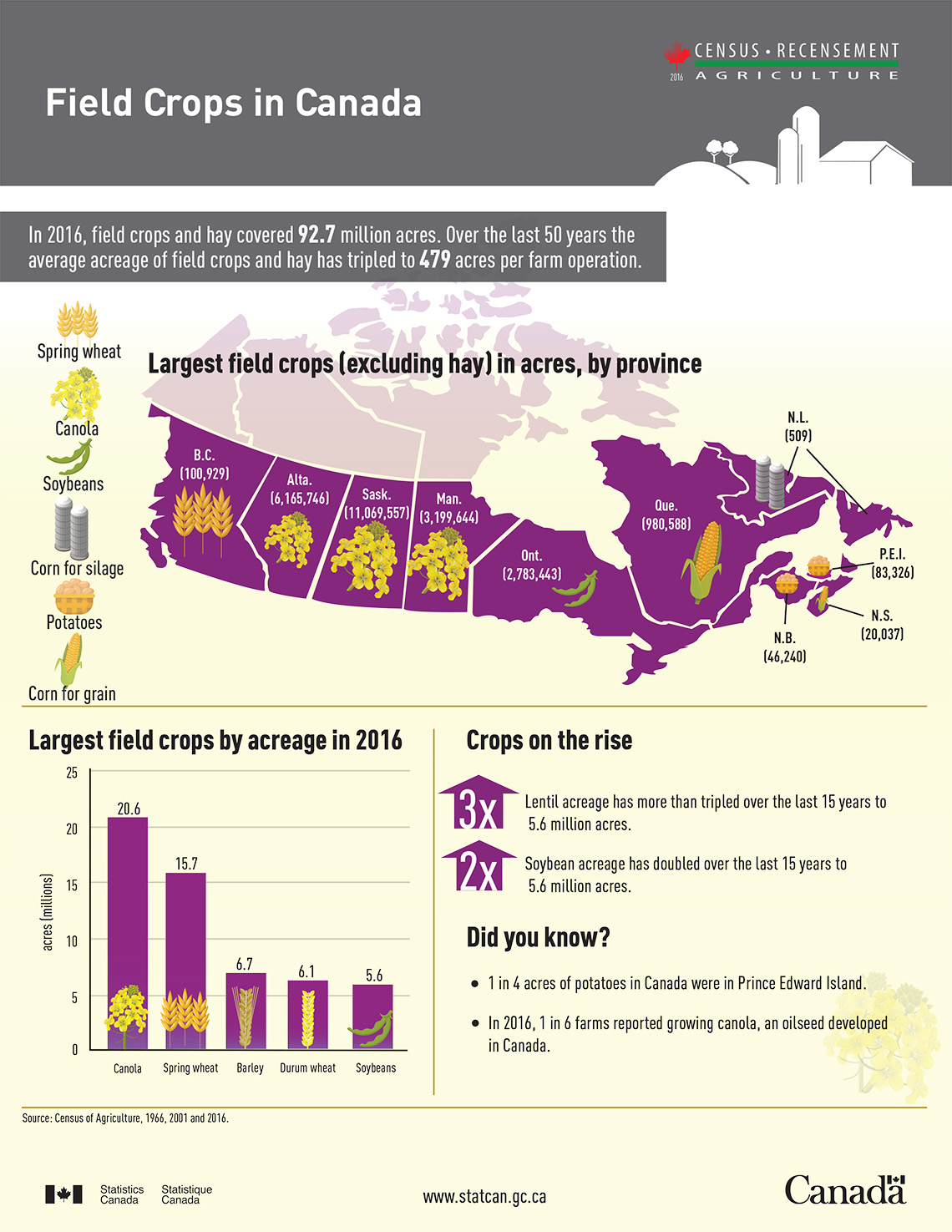 Infographic: Field Crops in Canada