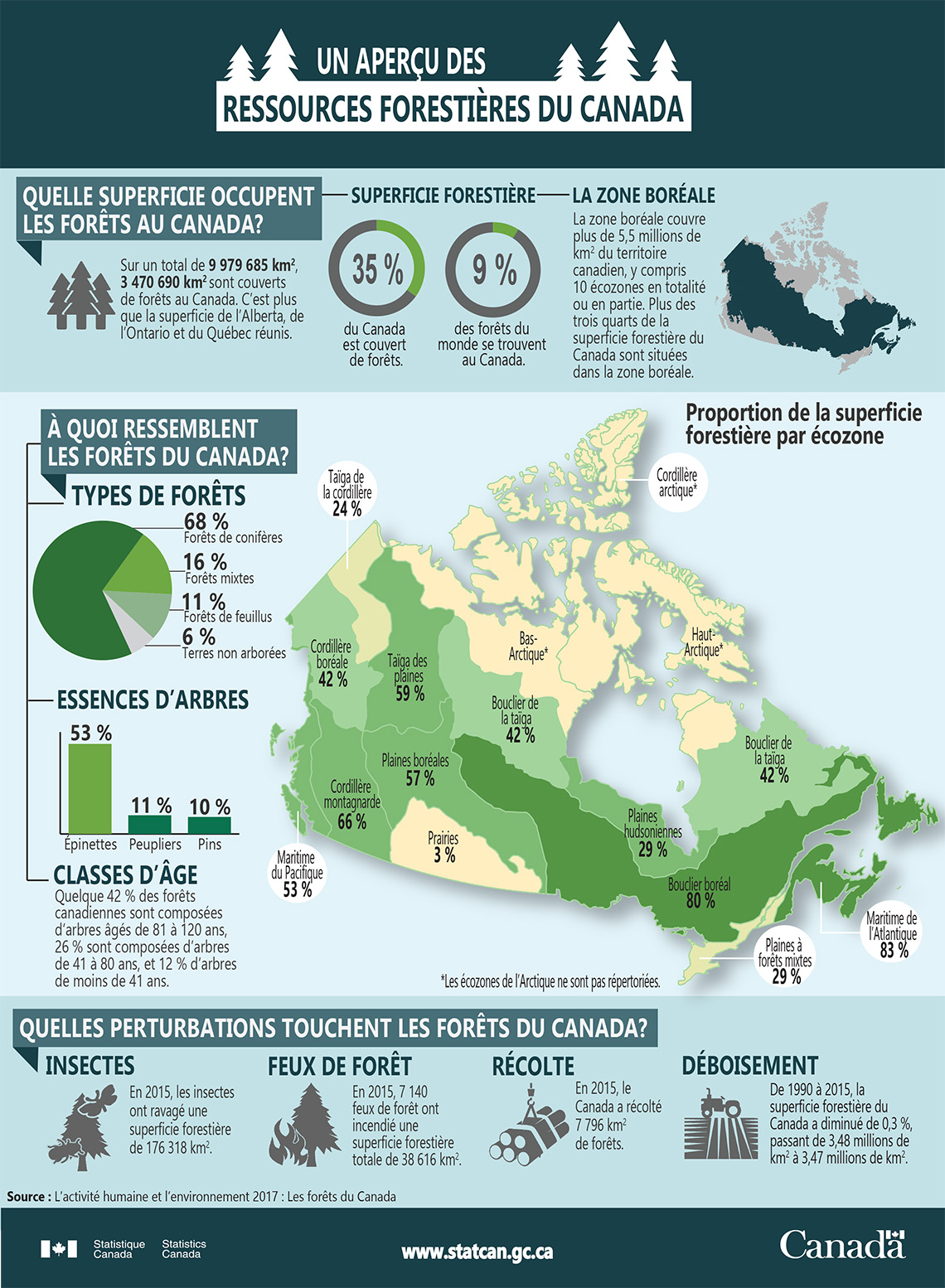 Infographie : Un aperçu des ressources forestières du Canada