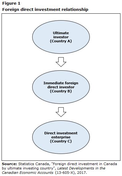 Figure 1 Foreign direct investment relationship