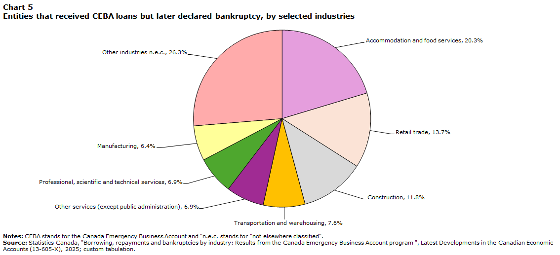 Chart 5 Entities that received CEBA loans but later declared bankruptcy, by selected industries