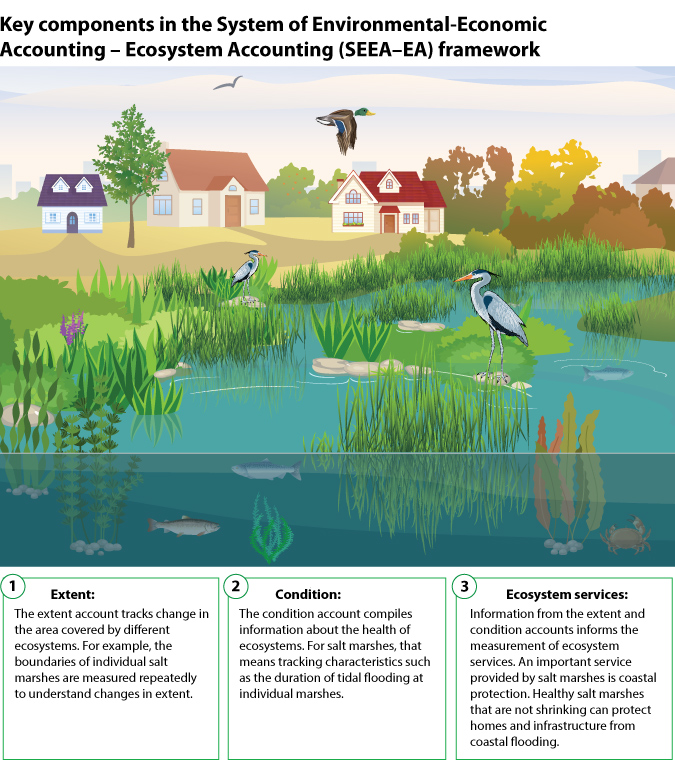 Figure 1 Key components in the System of Environmental-Economic Accounting – Ecosystem Accounting (SEEA–EA) framework