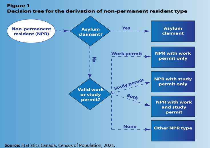 Figure 1. Decision tree for the derivation of non-permanent resident type
