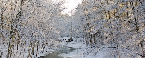 header image: A creek in a snow-covered forest