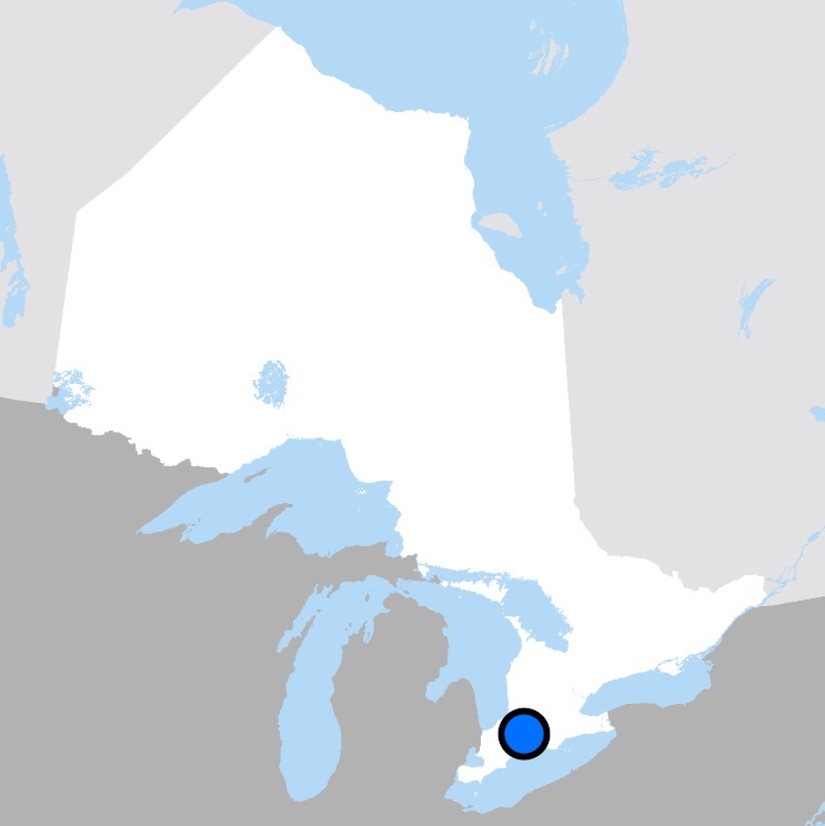 Carte montrant l’emplacement de London (Ontario)